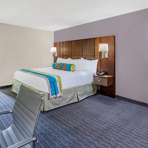 Suite à 2 Chambres à Coucher avec Accès aux Personnes Handicapées