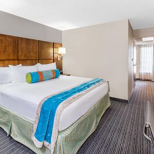Suite Lit King-Size